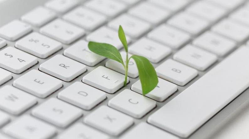 keyboard-with-small-plant.jpg